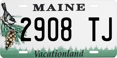ME license plate 2908TJ