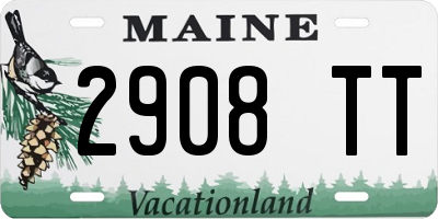 ME license plate 2908TT