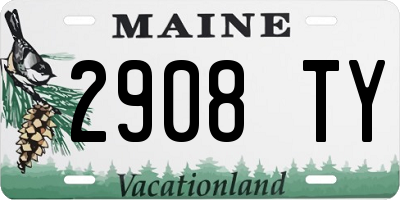 ME license plate 2908TY