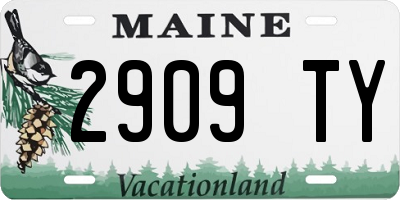 ME license plate 2909TY