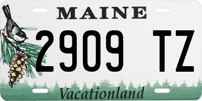 ME license plate 2909TZ