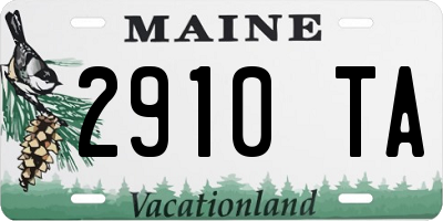 ME license plate 2910TA
