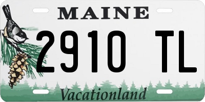 ME license plate 2910TL