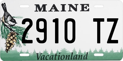 ME license plate 2910TZ