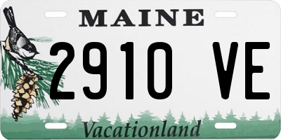 ME license plate 2910VE