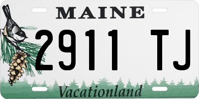 ME license plate 2911TJ