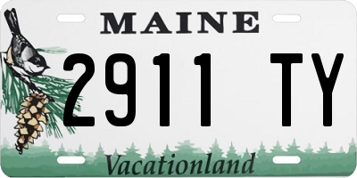ME license plate 2911TY