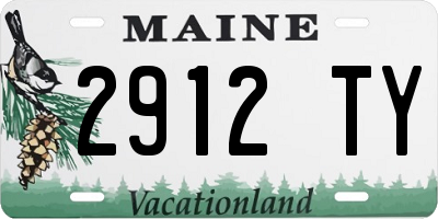 ME license plate 2912TY