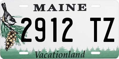 ME license plate 2912TZ