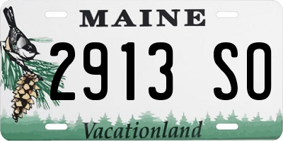ME license plate 2913SO