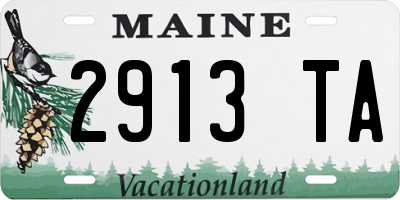 ME license plate 2913TA