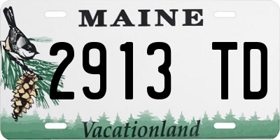 ME license plate 2913TD