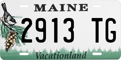 ME license plate 2913TG