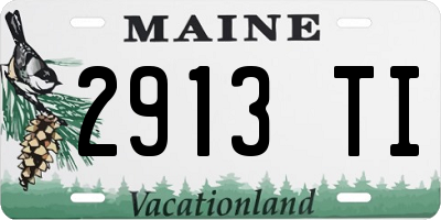 ME license plate 2913TI