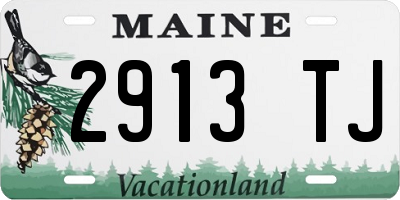 ME license plate 2913TJ