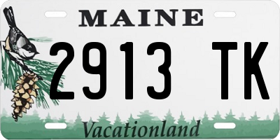 ME license plate 2913TK