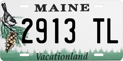 ME license plate 2913TL