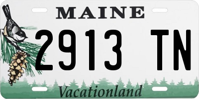 ME license plate 2913TN