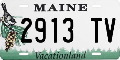 ME license plate 2913TV