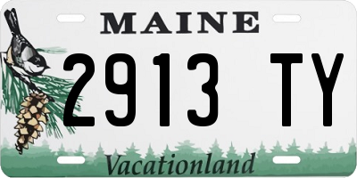 ME license plate 2913TY