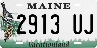 ME license plate 2913UJ
