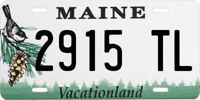 ME license plate 2915TL