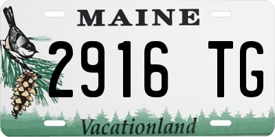 ME license plate 2916TG