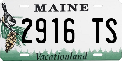 ME license plate 2916TS