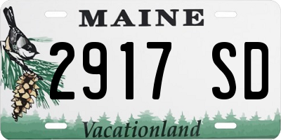 ME license plate 2917SD