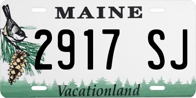 ME license plate 2917SJ
