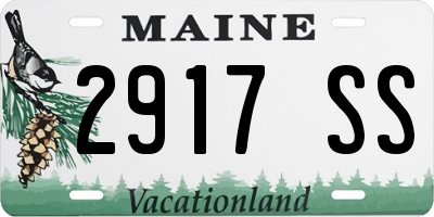 ME license plate 2917SS
