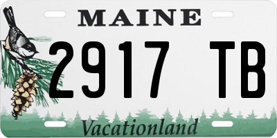 ME license plate 2917TB