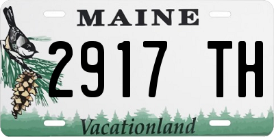 ME license plate 2917TH