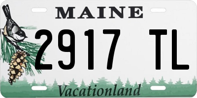 ME license plate 2917TL