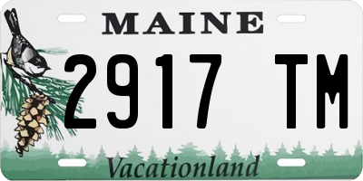 ME license plate 2917TM