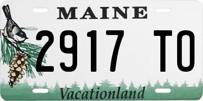 ME license plate 2917TO