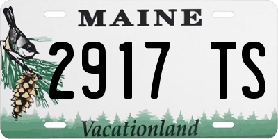 ME license plate 2917TS