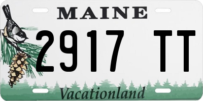 ME license plate 2917TT