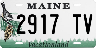 ME license plate 2917TV