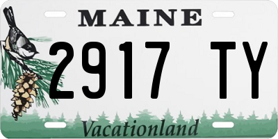 ME license plate 2917TY