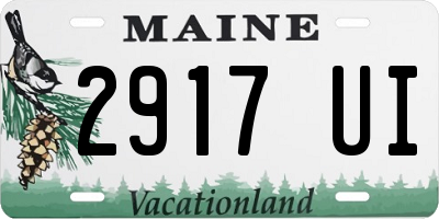 ME license plate 2917UI