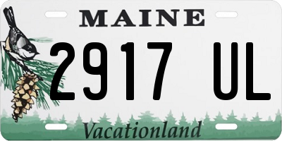 ME license plate 2917UL