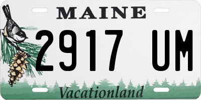 ME license plate 2917UM