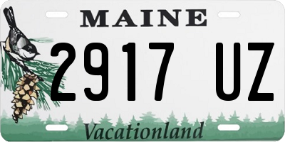 ME license plate 2917UZ