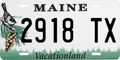 ME license plate 2918TX