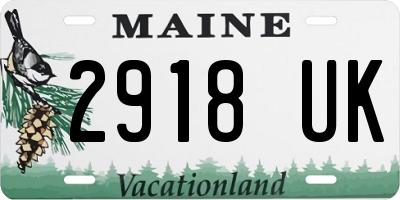 ME license plate 2918UK