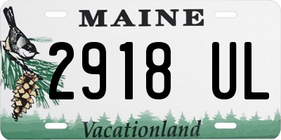 ME license plate 2918UL
