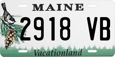 ME license plate 2918VB