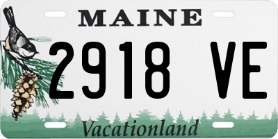 ME license plate 2918VE