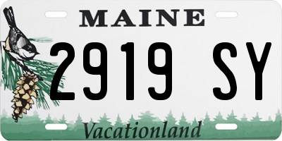 ME license plate 2919SY